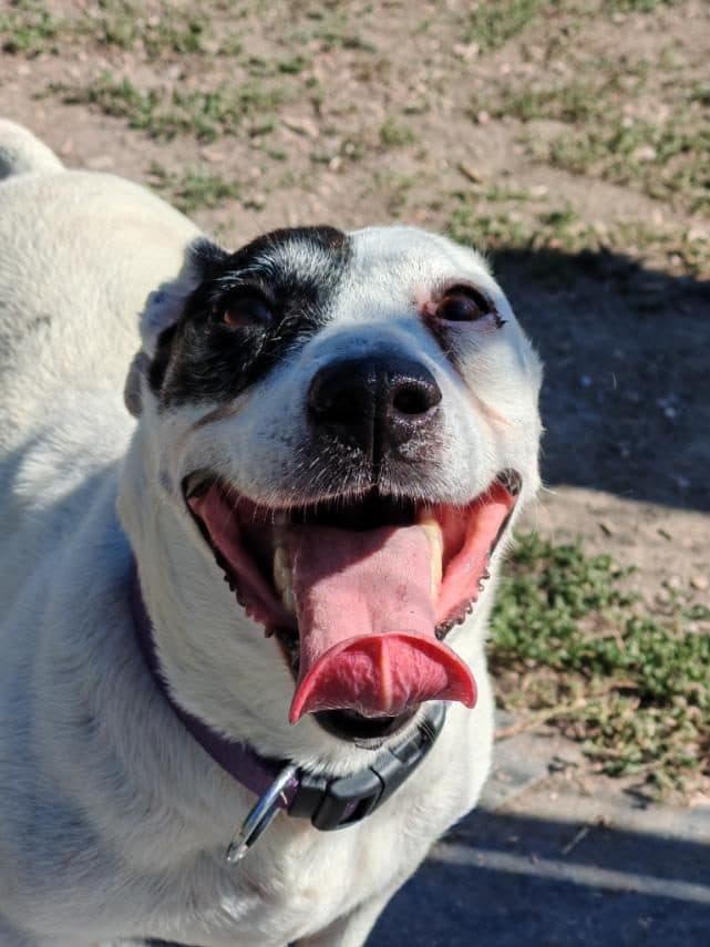 Fiona
